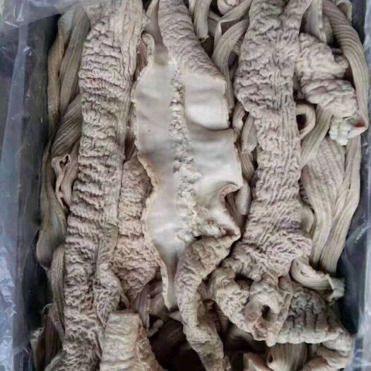 阳信县牛肠  精品牛大肠，小肠牛散袋