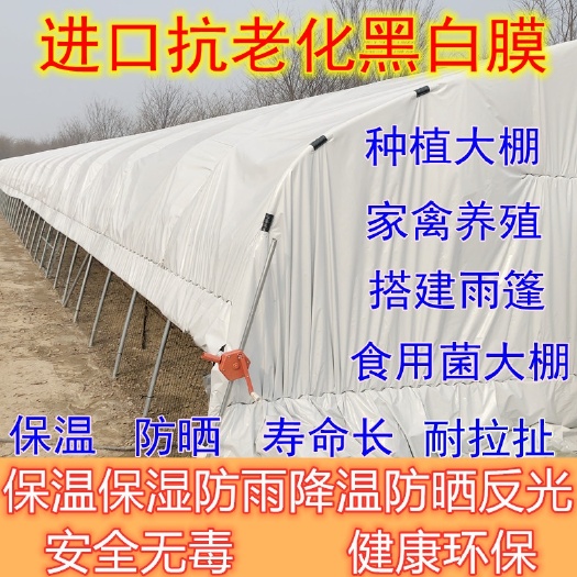 沭阳县黑白养殖膜 长寿膜 鸡鸭鹅牛舍大棚膜 隔热反光膜 抗老化防水