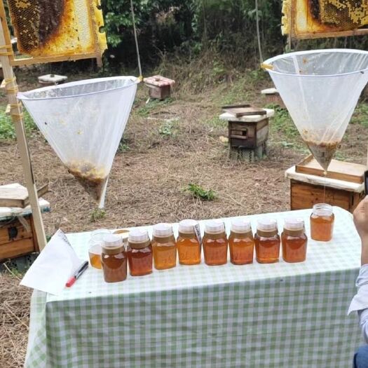 土蜂蜜 1年 41 本品不能代替药物