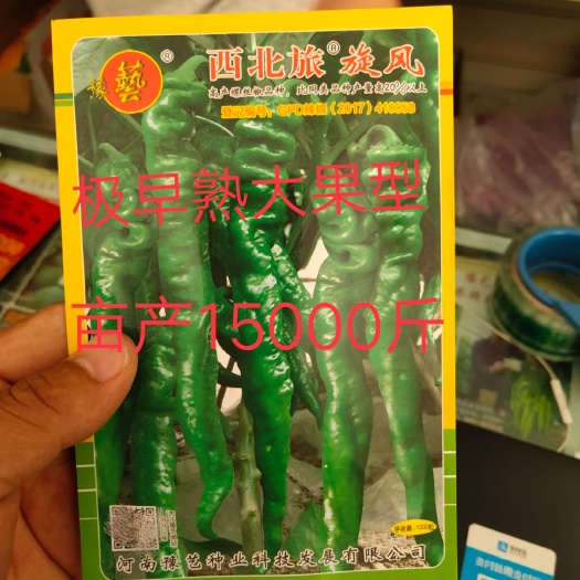 扶沟县西北旅旋风螺丝椒种子~秋延大棚，早春露地匀可15000斤