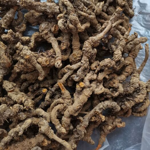 乐山 自家精品鸡爪黄连