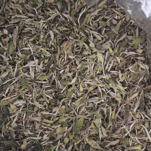 新昌县白牡丹茶 2020新茶白牡丹清甜醇爽，毫香足，有明显鲜爽感，有回甘