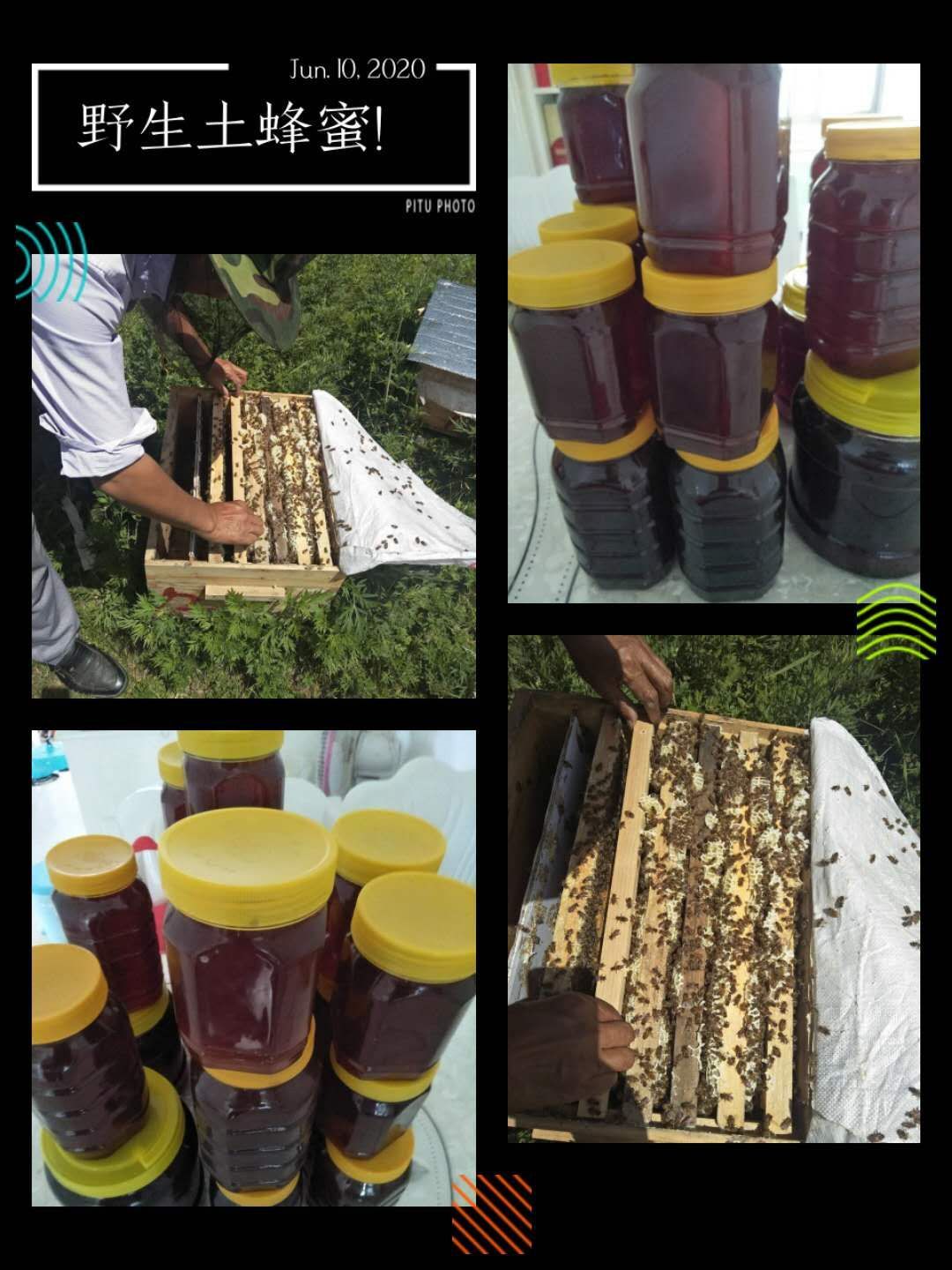  正宗土蜂蜜，天然无公害