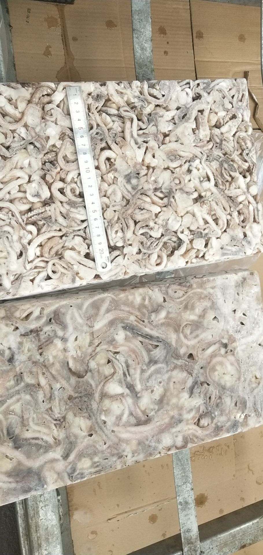 二本足  真鱿  鱿鱼须 去脖鱿鱼须  品牌优势 质量保障