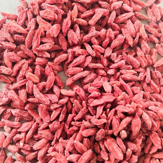 精选优质青海头茬条形红枸杞，果面干净颗粒饱满口感很好！