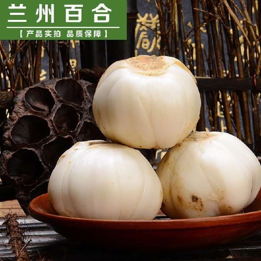 榆中县 兰州特产鲜百合大果 兰州土特产
