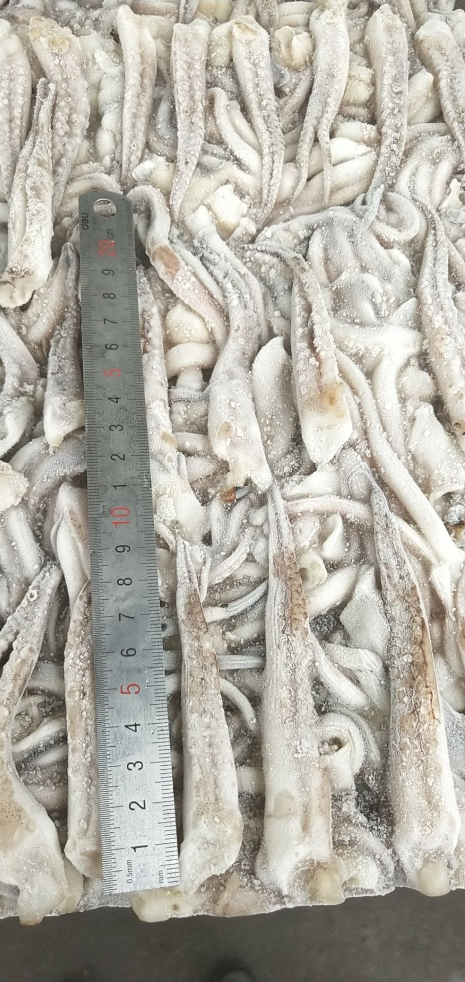 二本足  真鱿  鱿鱼须 去脖鱿鱼须  品牌优势 质量保障