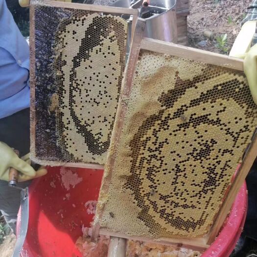 百花蜜 1年 41 本品不能代替药物