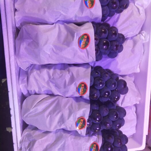 重庆市 应为娉婷一笑，烂醉葡萄新熟，明月满西楼