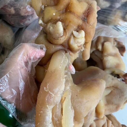 阳信县全熟牛蹄筋原味大量批发火烧牛蹄筋带主筋真空包装厂家发货