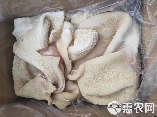 牛肚纯干国产半成品熟牛肚金钱肚新鲜大量批发无油