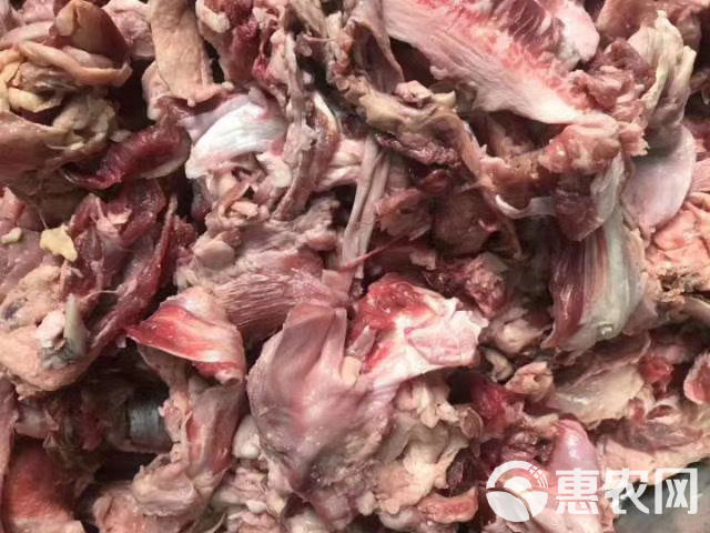 牛筋  生牛肉筋纯干无油价格低大量批发