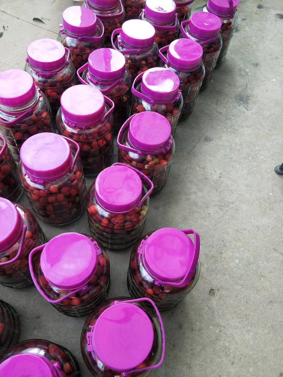  高山荸荠黑炭杨梅 东魁杨梅 白杨梅