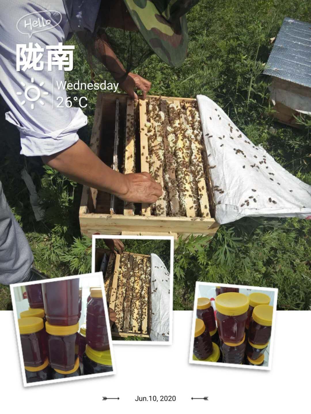  正宗土蜂蜜，天然无公害