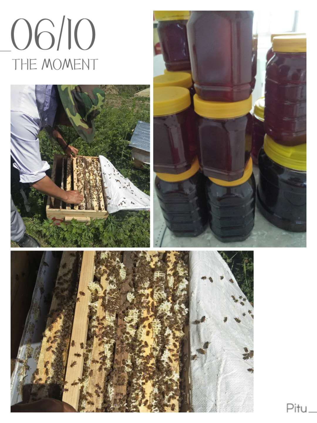  正宗土蜂蜜，天然无公害