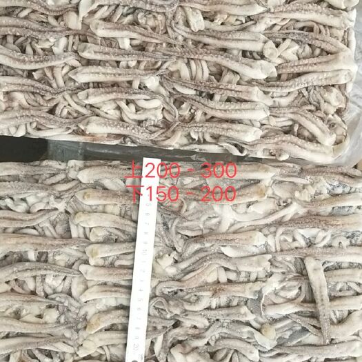 威海二本足  真鱿  鱿鱼须 去脖鱿鱼须  品牌优势 质量保障
