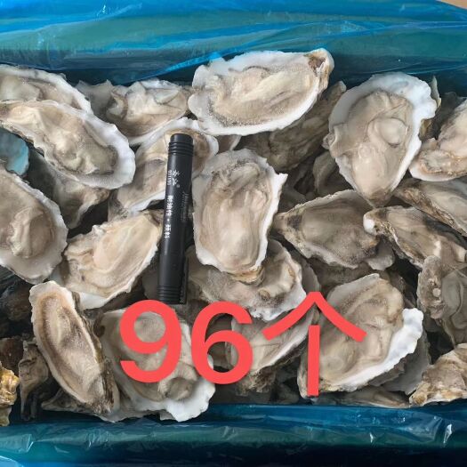 成都 冷冻生蚝 牡蛎 原汁小半壳烧烤食材