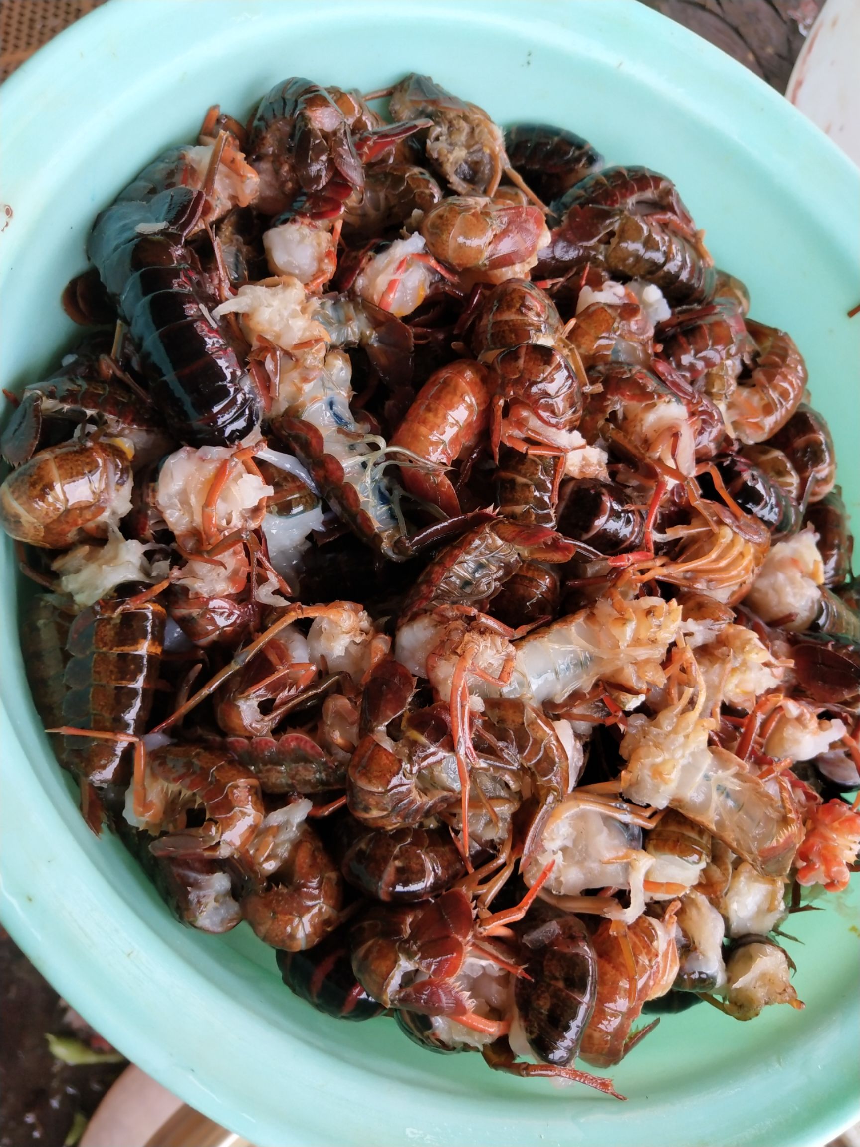 龙虾尾 虾球优惠 虾尾优惠 10/斤