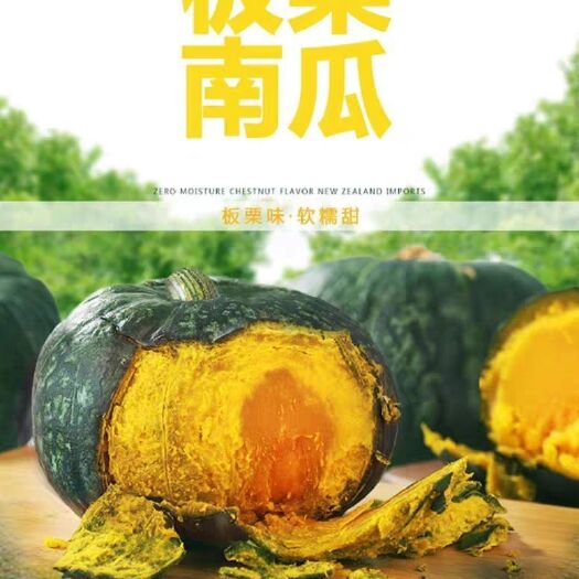 博爱县今年农产品没人要为了，让朋友们尝尝，新鲜沙漠板栗南瓜迷你小南