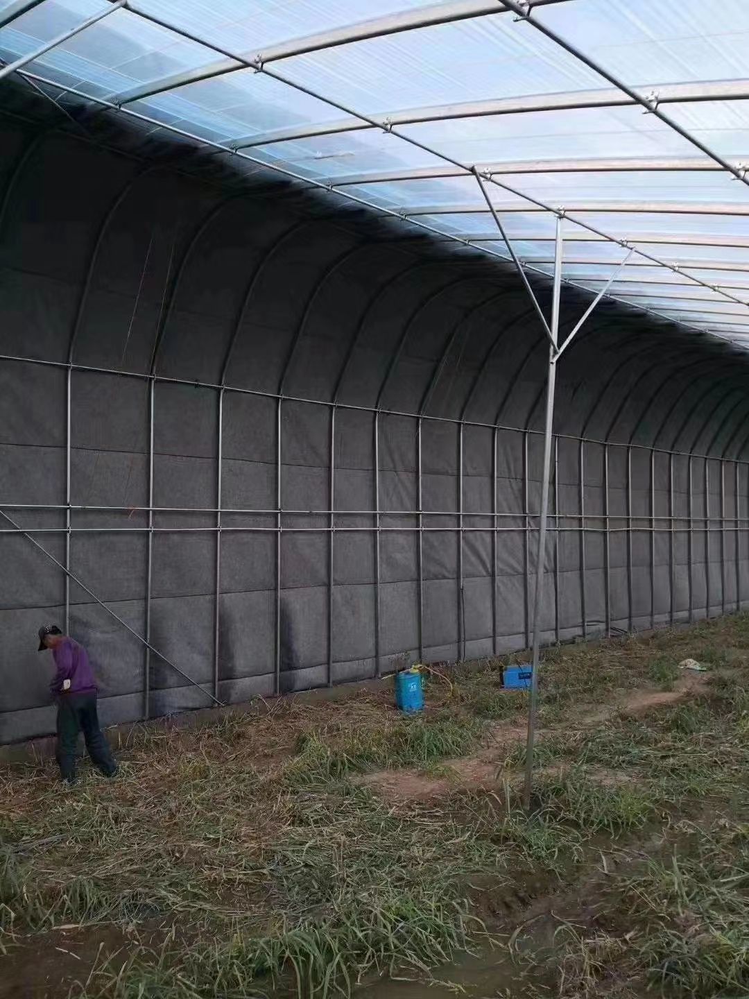 钢管大棚 养殖种植棚骨架厂家直销