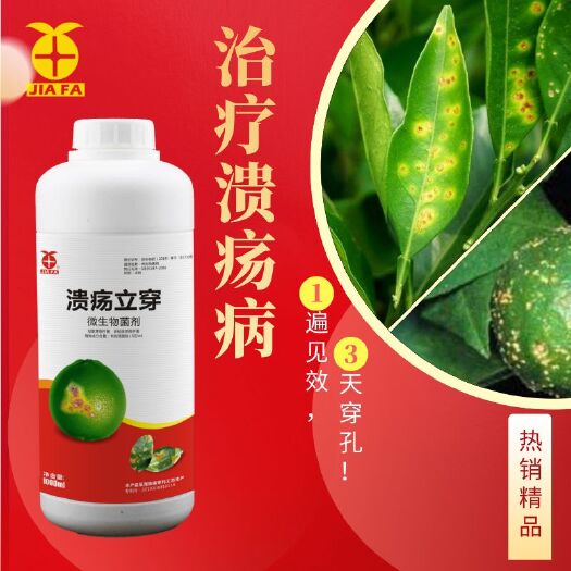 郑州复合微生物菌剂 溃疡立穿 柑橘溃疡
