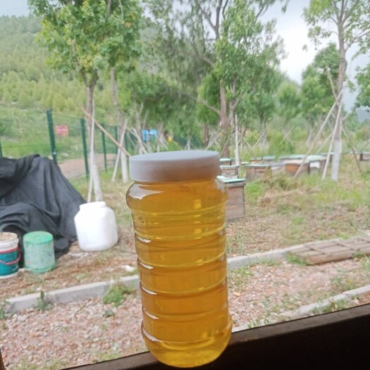 北京 槐花蜜，荆条蜜（意蜂蜂蜜）
