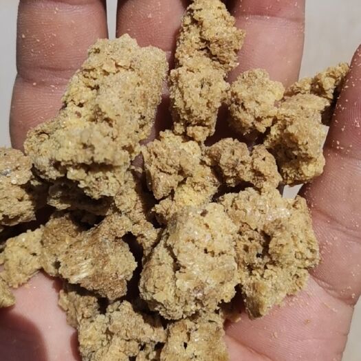 利津县 全脂膨化大豆育肥