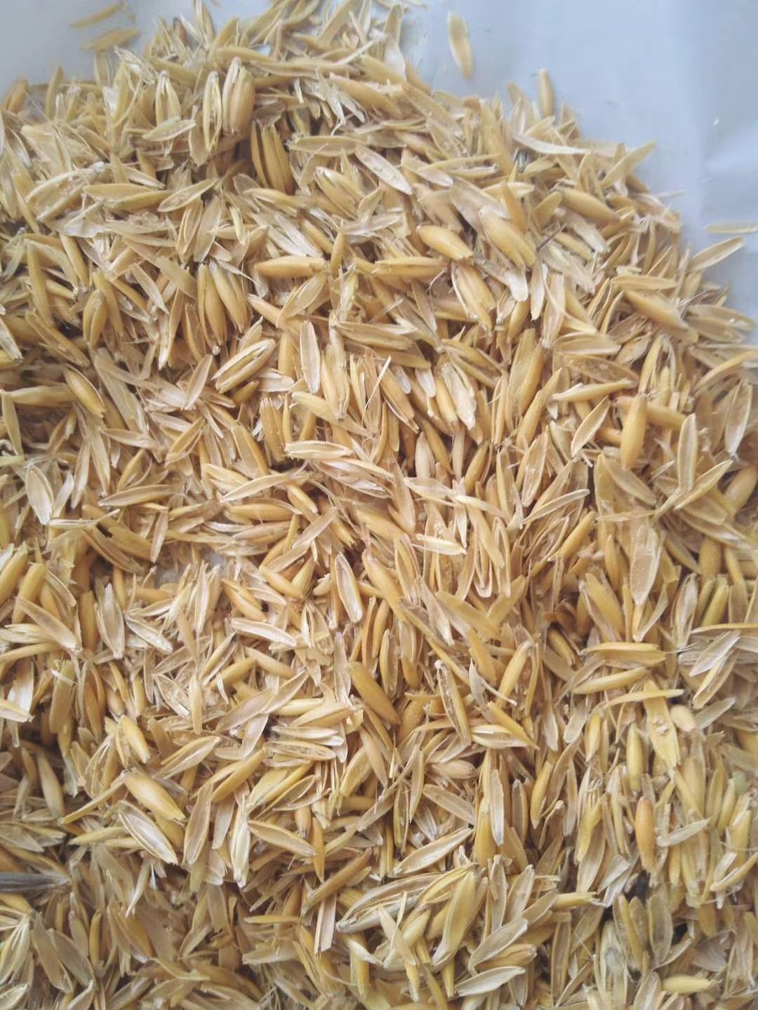  燕麦壳，牛羊好饲料，大量现货