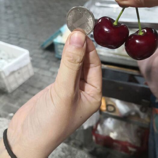 汉源县黑珍珠樱桃 汉源车厘子
