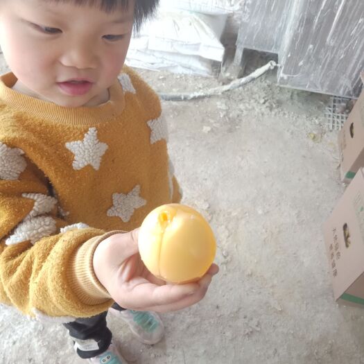 商水县皮蛋  五香变蛋双黄变蛋