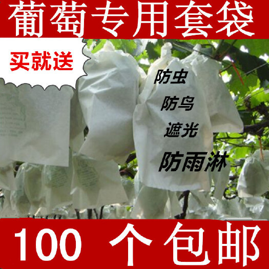 舞阳县种植套袋  葡萄代子套果袋水果套袋纸套果子的袋子果树葡萄袋子