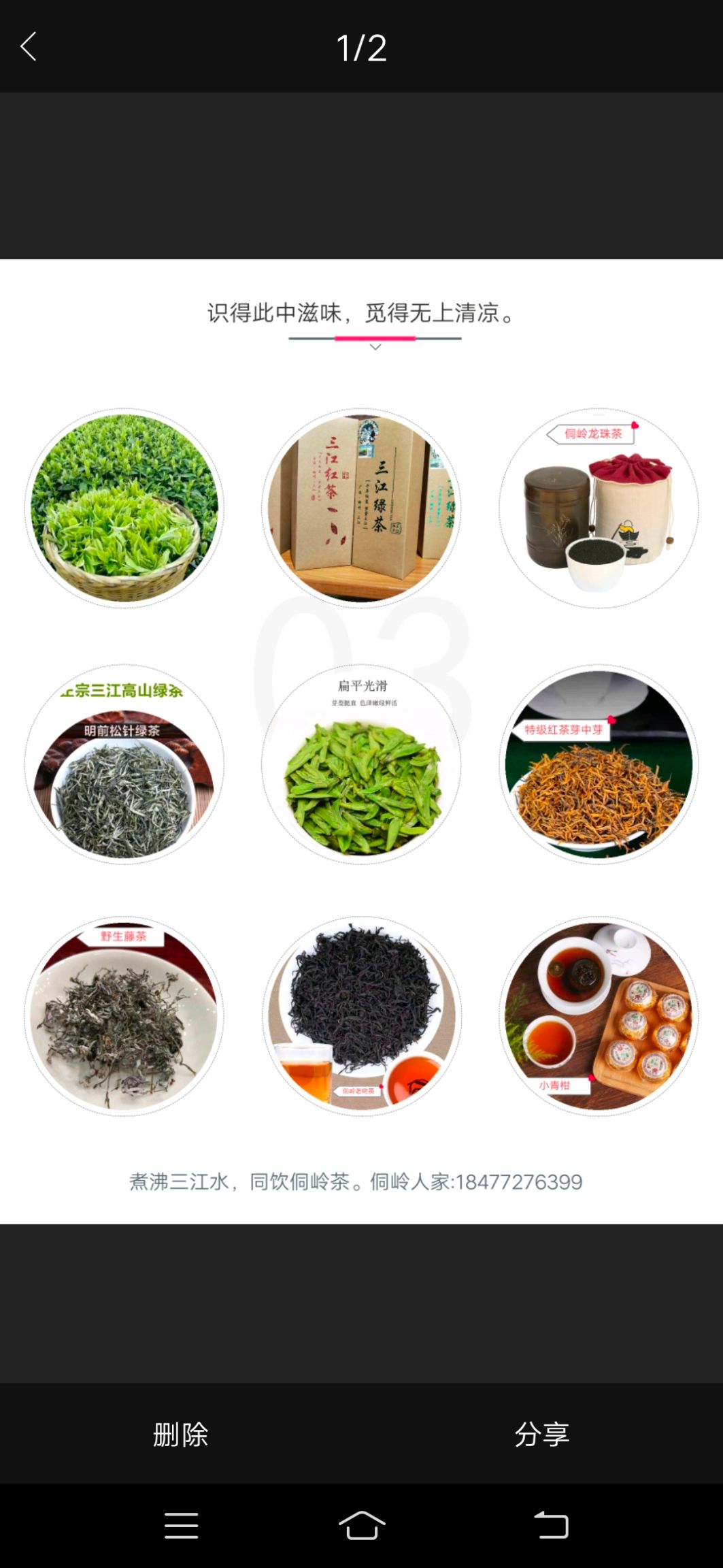 虫茶 虫屎茶 恒温长期保存