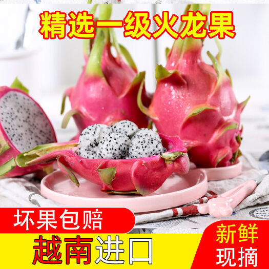 越南白心火龙果新鲜包邮3/5/10斤热带整箱水果非红心火龙果