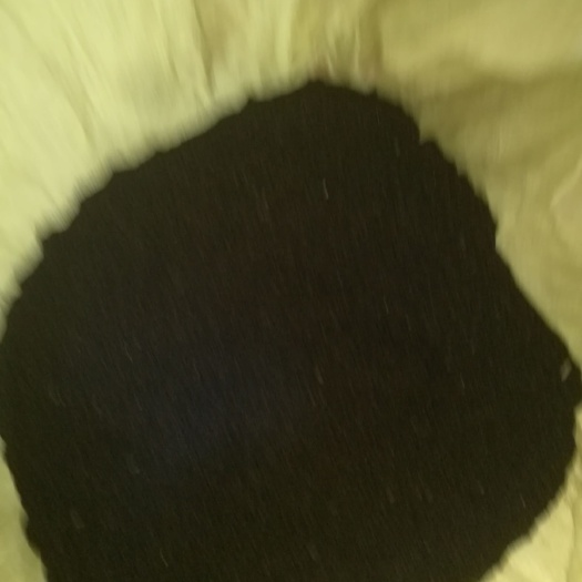东台市苏北油菜籽种植基地，出油率高，色泽好看，味香味浓，欢迎你光临