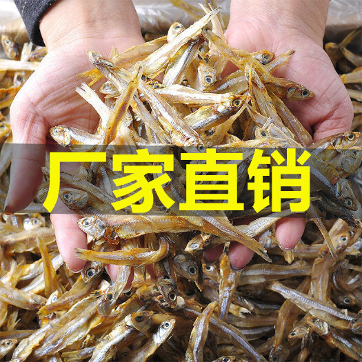 广州小鱼干 新鲜天然鱼，天然淡晒