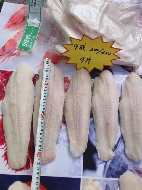 福州 越南巴沙鱼正关