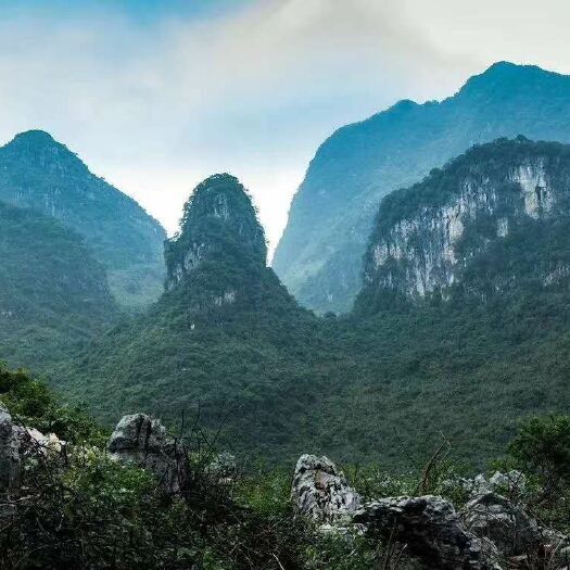 怀集县山地 寻找民宿开发者