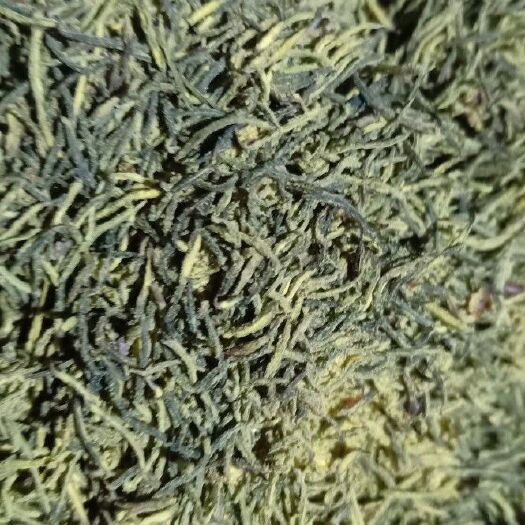 亳州 杜仲雄花