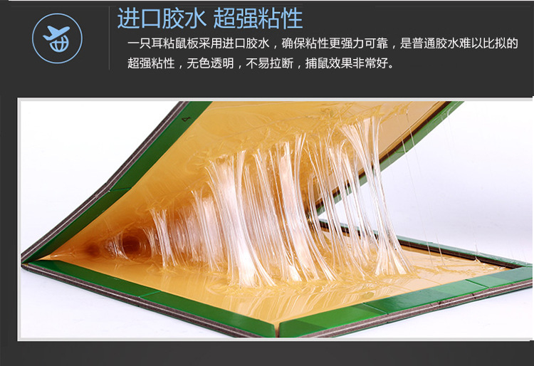捕鼠贴 高效强力粘鼠板 环保**捕鼠器 高粘老鼠贴 灭鼠正品灭鼠器