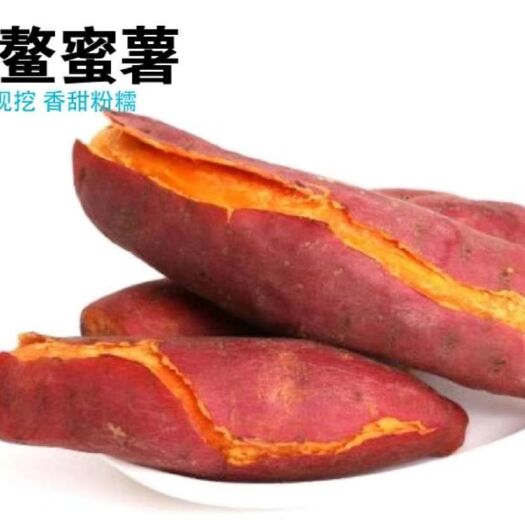 漳浦县漳浦六鳌蜜薯西瓜红蜜薯大量上市了