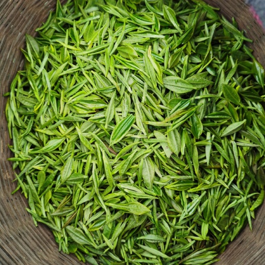 重庆市 峨眉高山绿茶