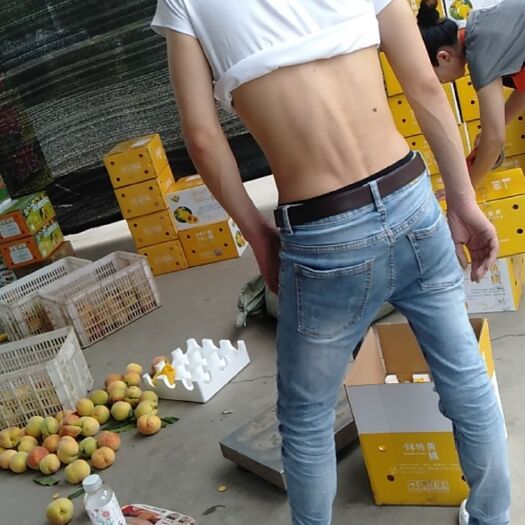 江陵县 三湖黄桃小镇纯绿色无药黄桃.


丰之喜三湖黄桃