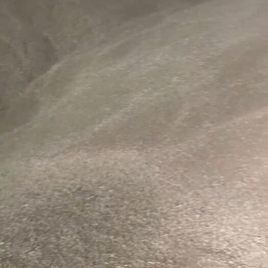 枣阳市普通小麦 带壳麦