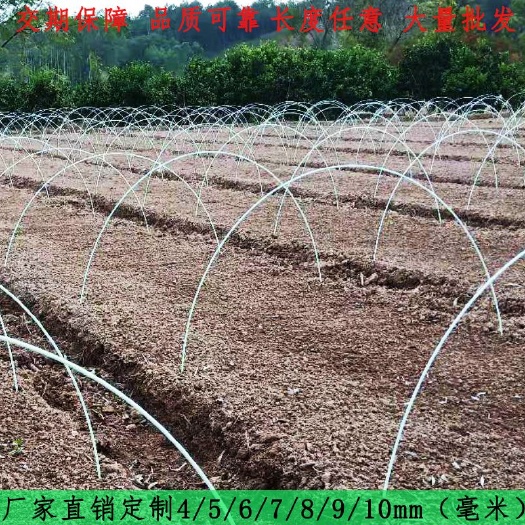 东莞市小拱棚杆 大棚  种植 拱棚杆地拱玻璃纤维小拱棚支架农用弓子