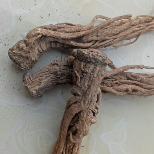 岷县有机肥种植  精品当归