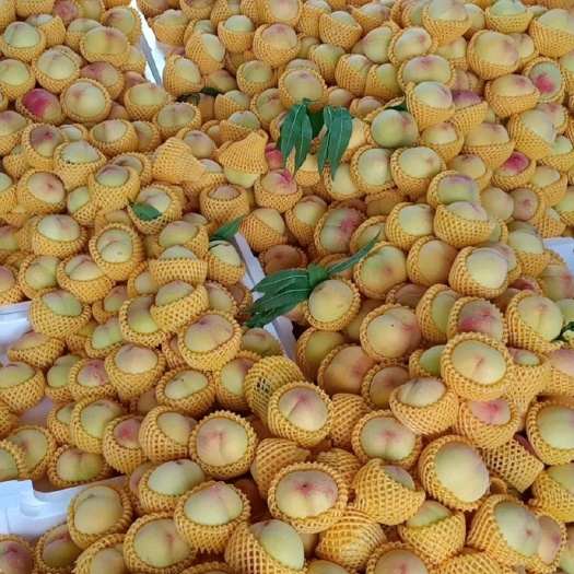 天台县 精品黄桃，香甜可可