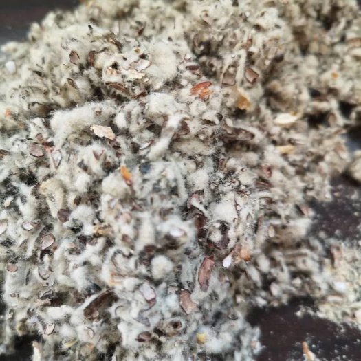 奎屯市新疆奎屯棉籽壳新货包邮棉渣麸皮次粉甜菜粕稻草