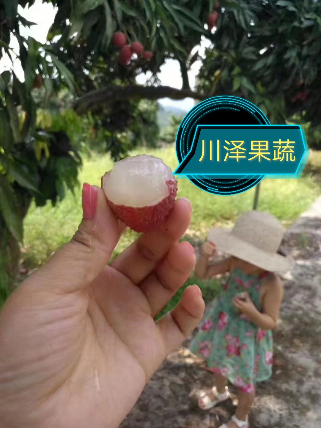  川泽果蔬晚熟荔枝