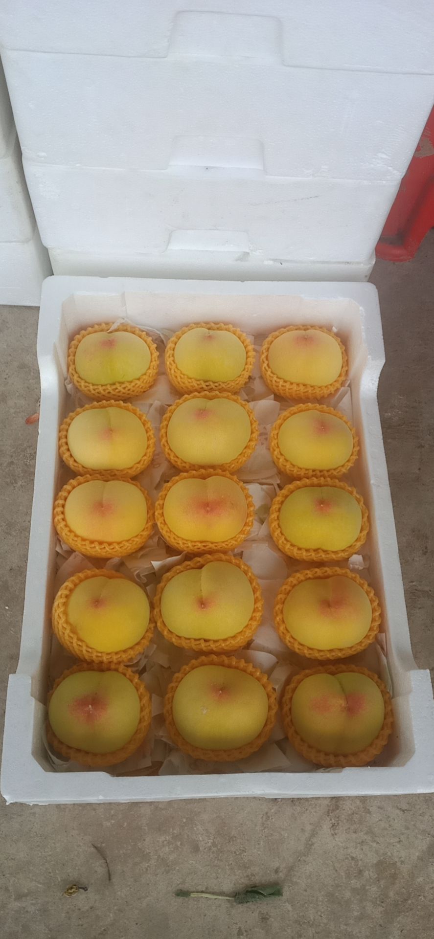  精品黄桃，香甜可可