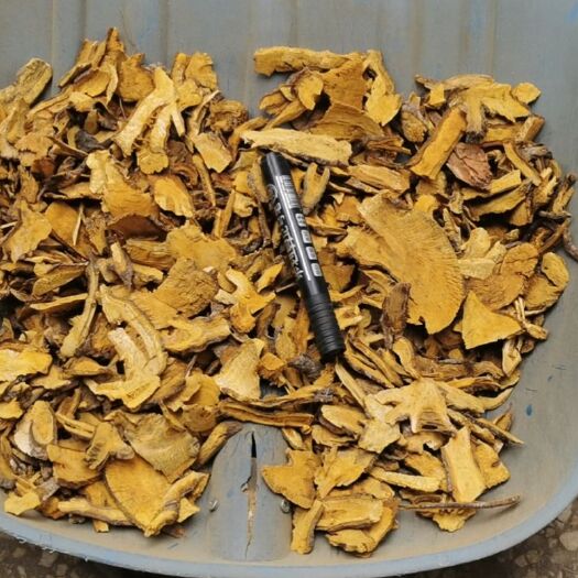 亳州虎杖 保质保量